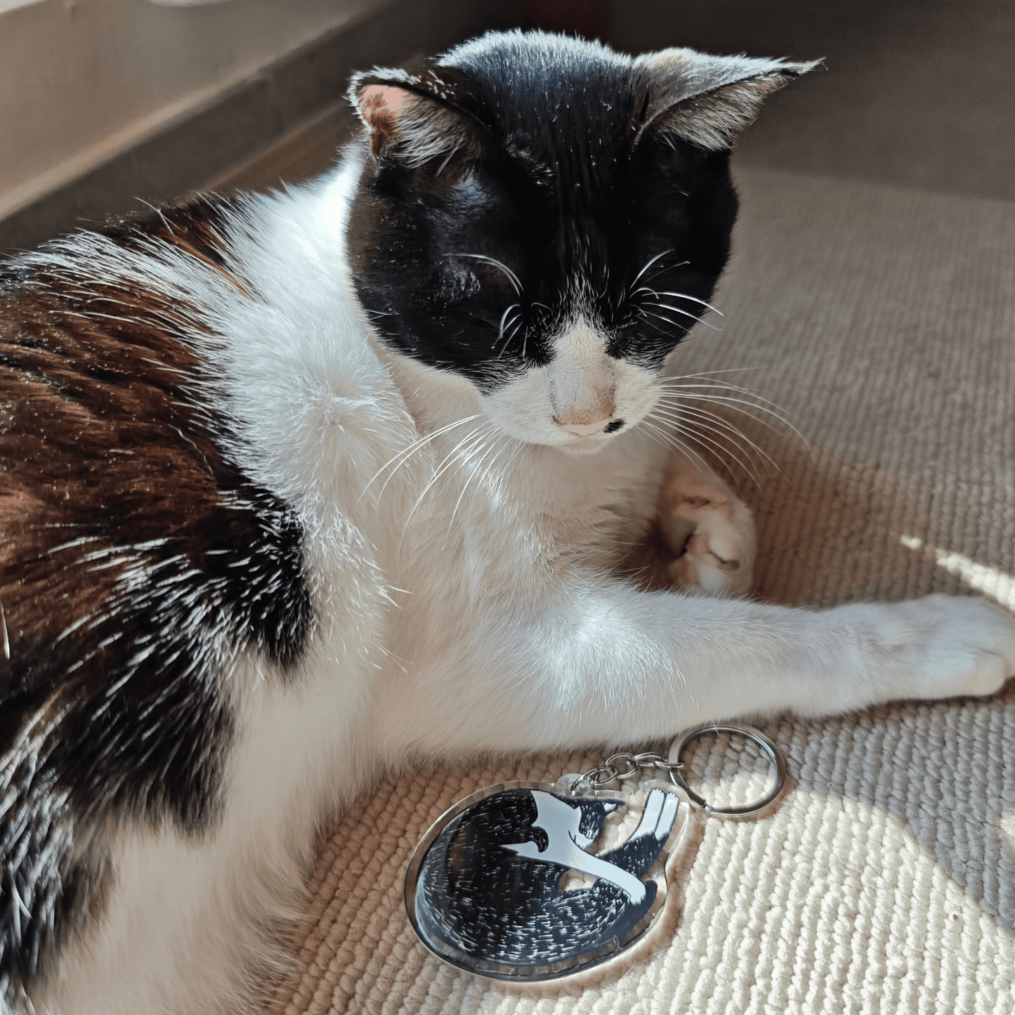 Sleeping Dot Keychain