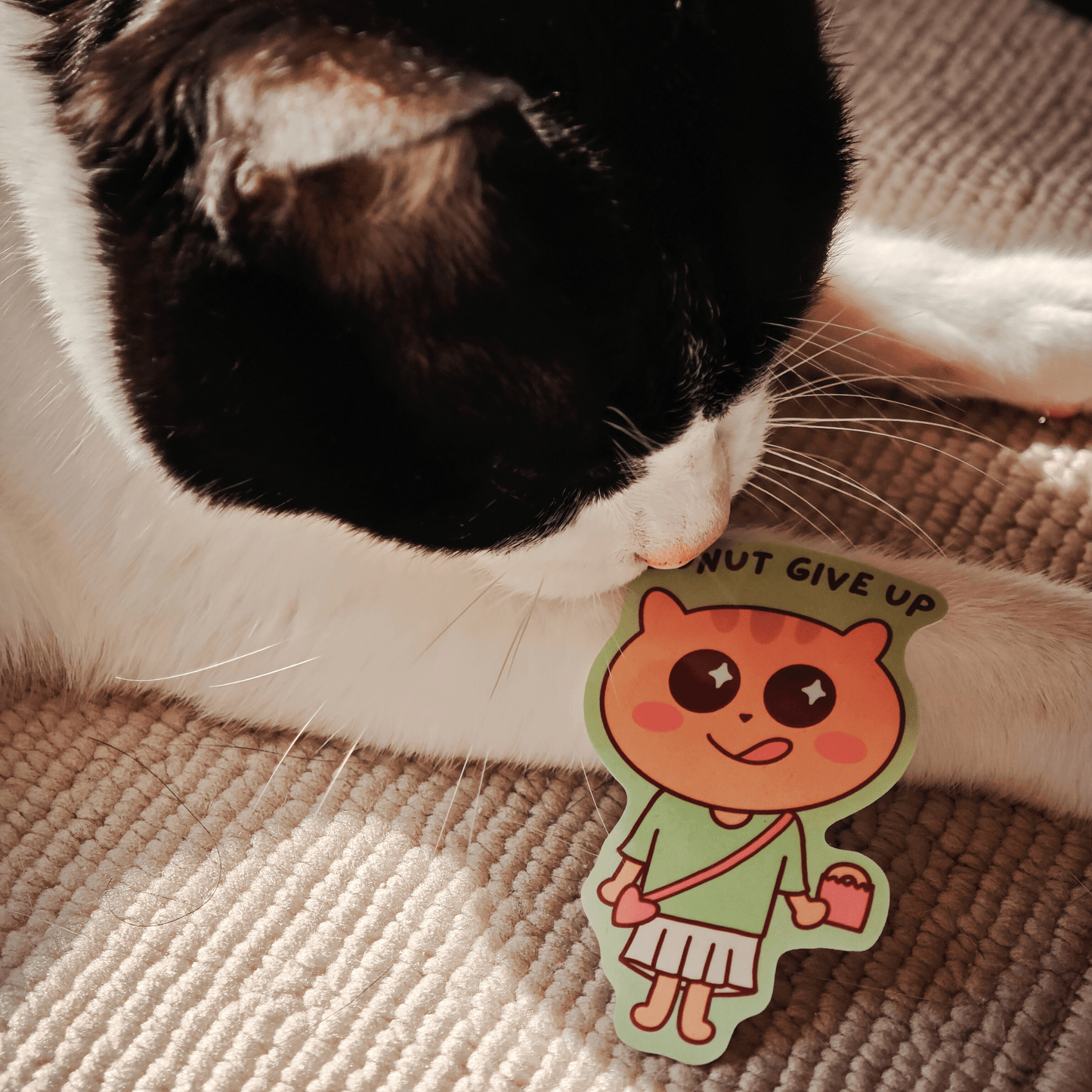 Donut Give Up Sticker