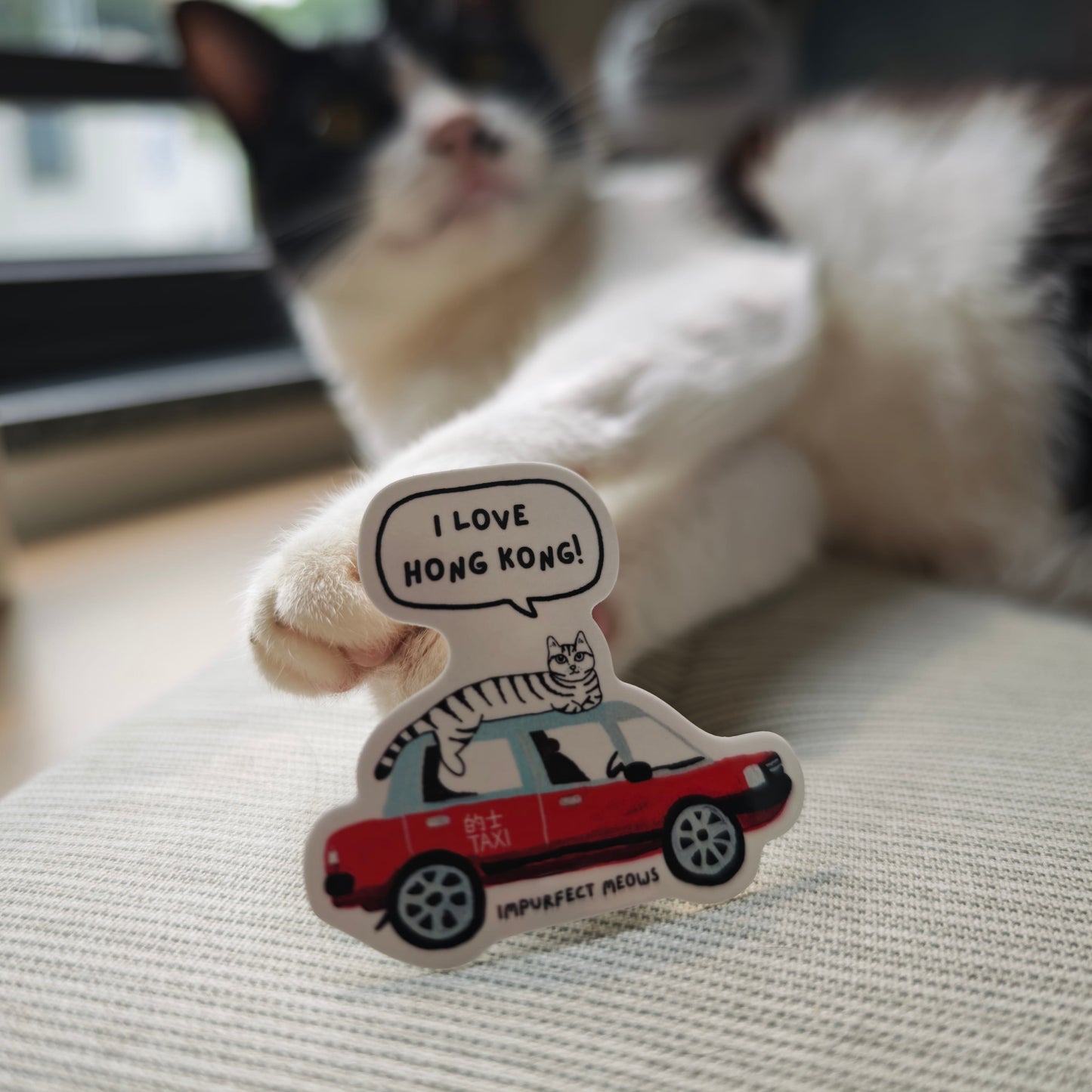 Taxi Cat Sticker