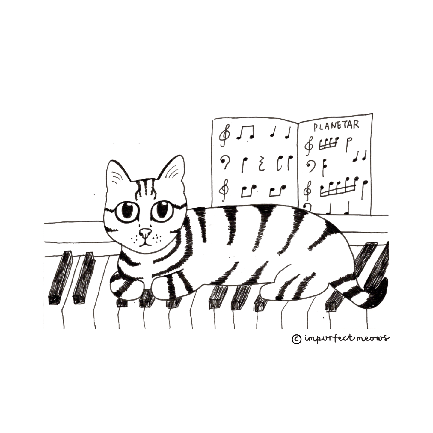 Piano Cat T-shirt