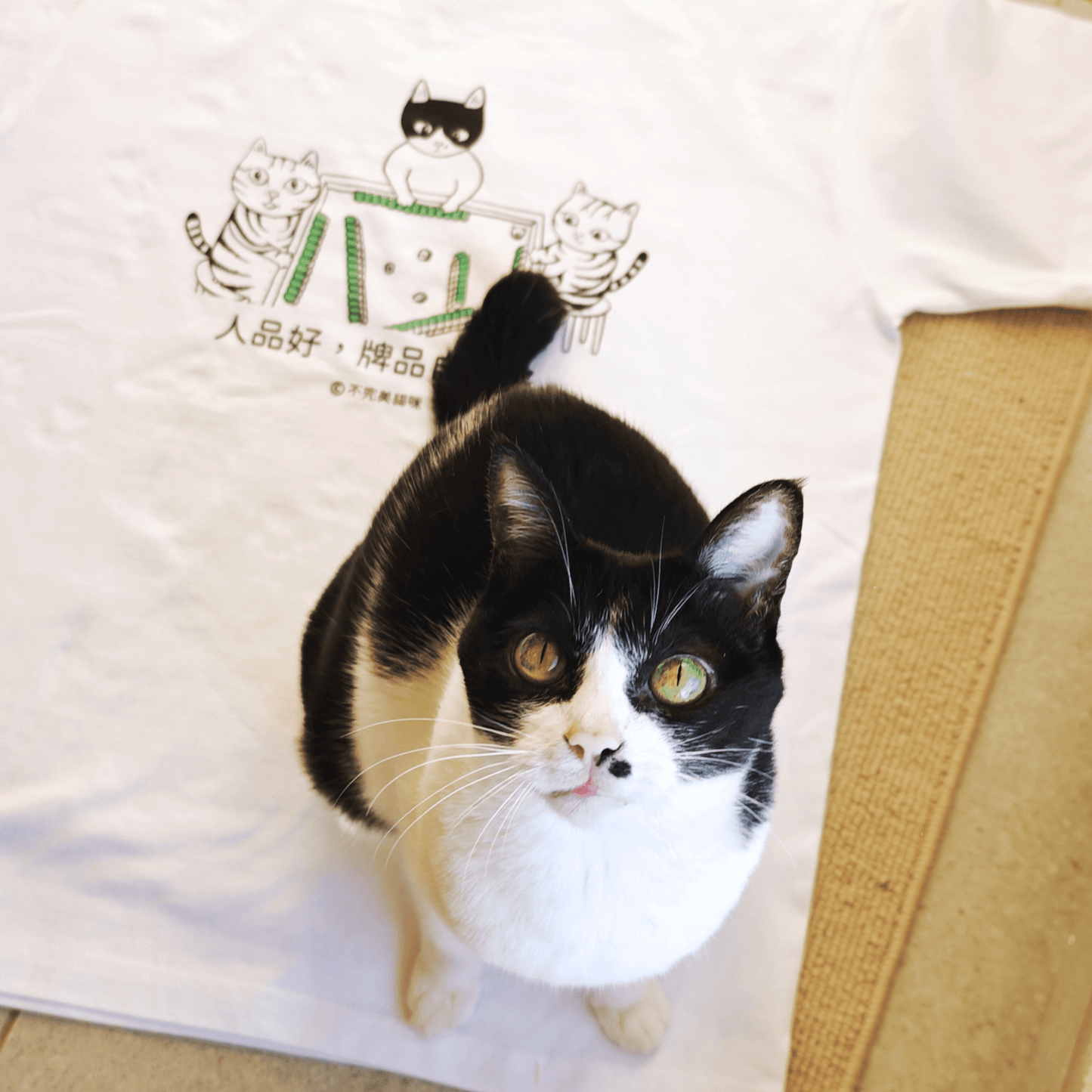 Mahjong Cats T-shirt