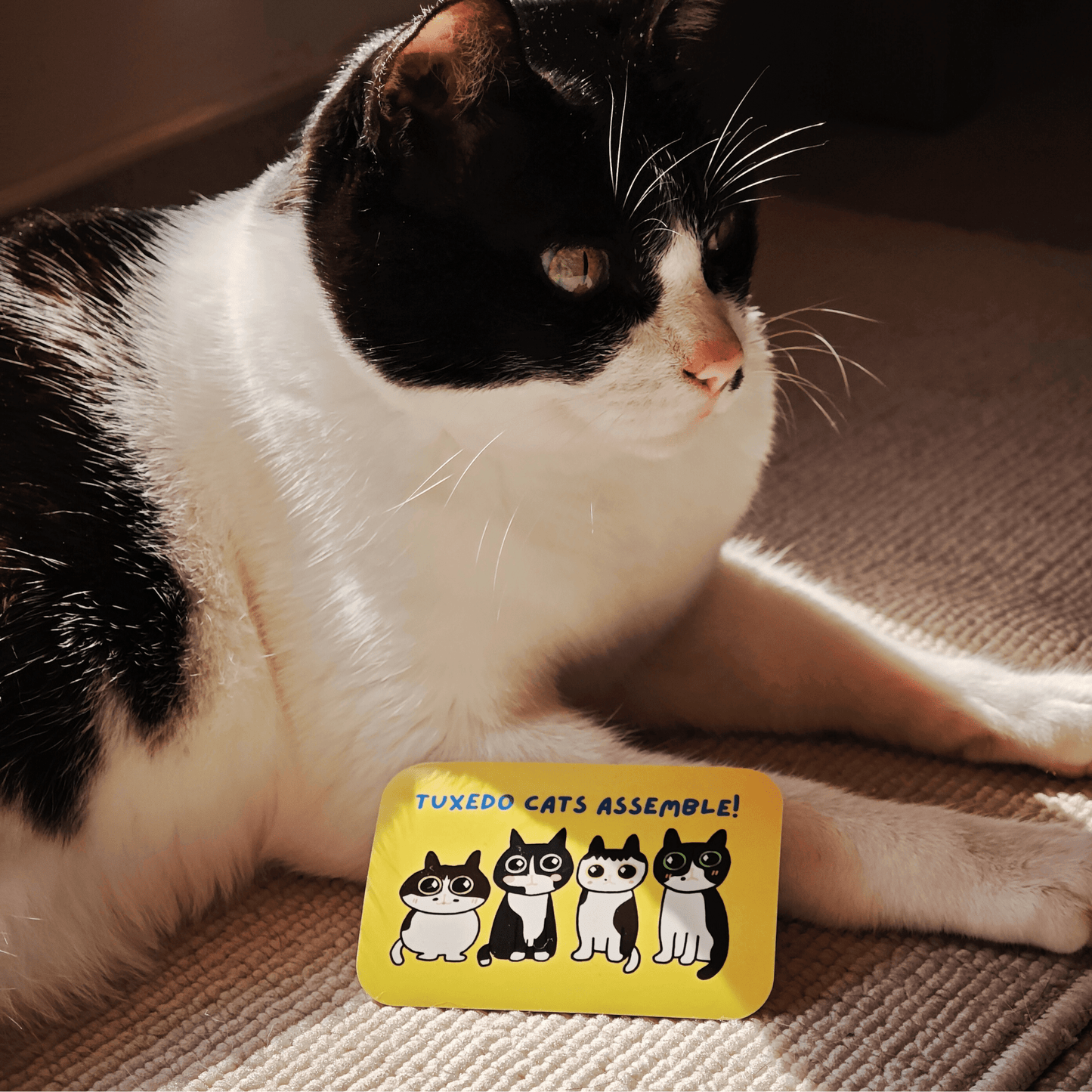 Tuxedo Cats Assemble Sticker
