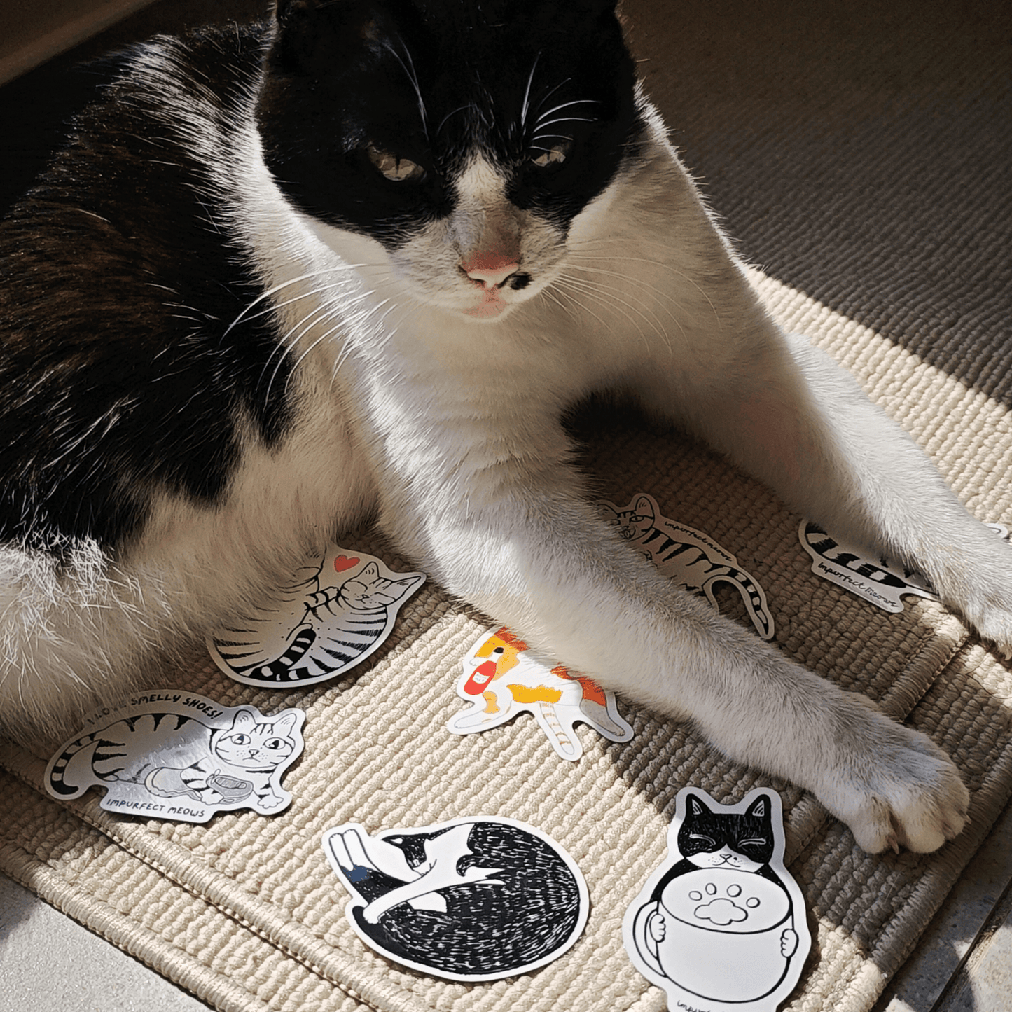 I Love Smelly Shoes Sticker