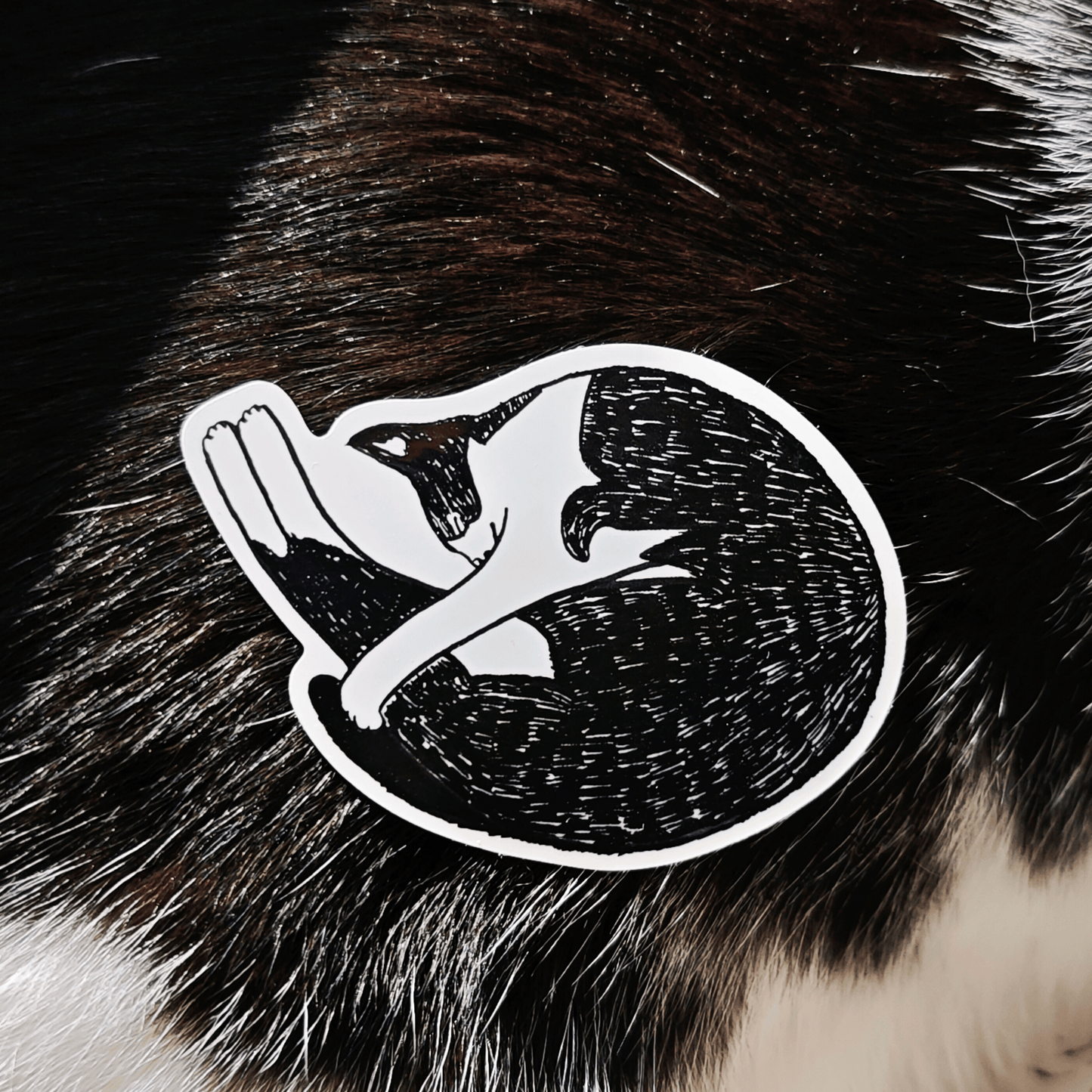 Sleeping Dot  Sticker