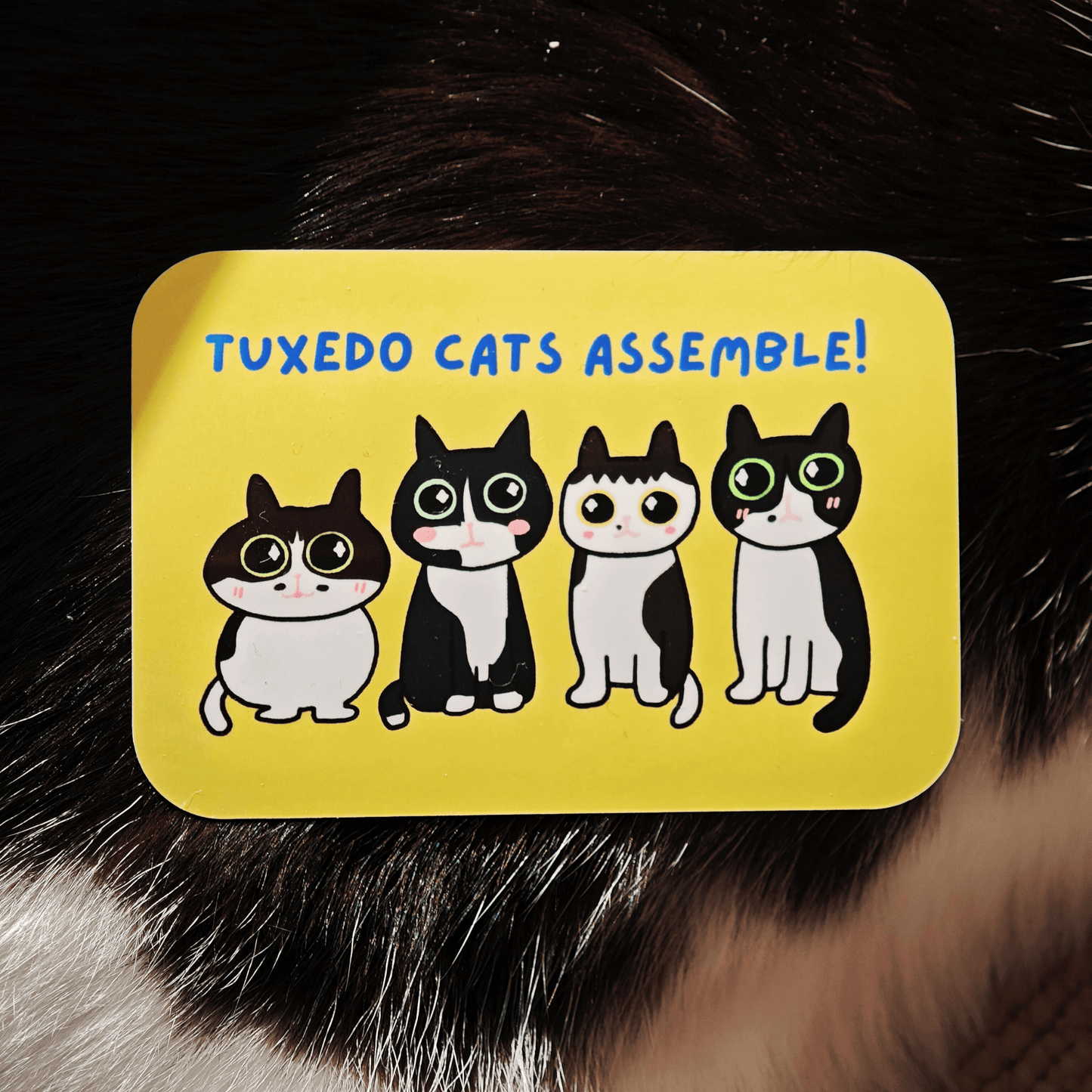 Tuxedo Cats Assemble Sticker