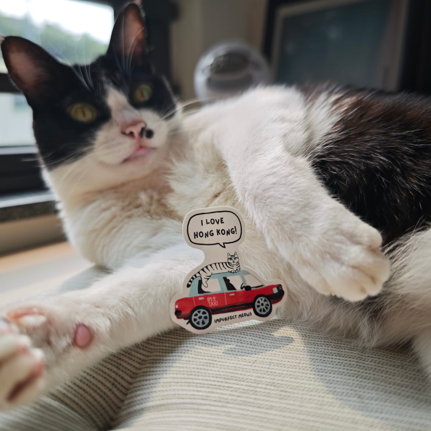 Taxi Cat Sticker