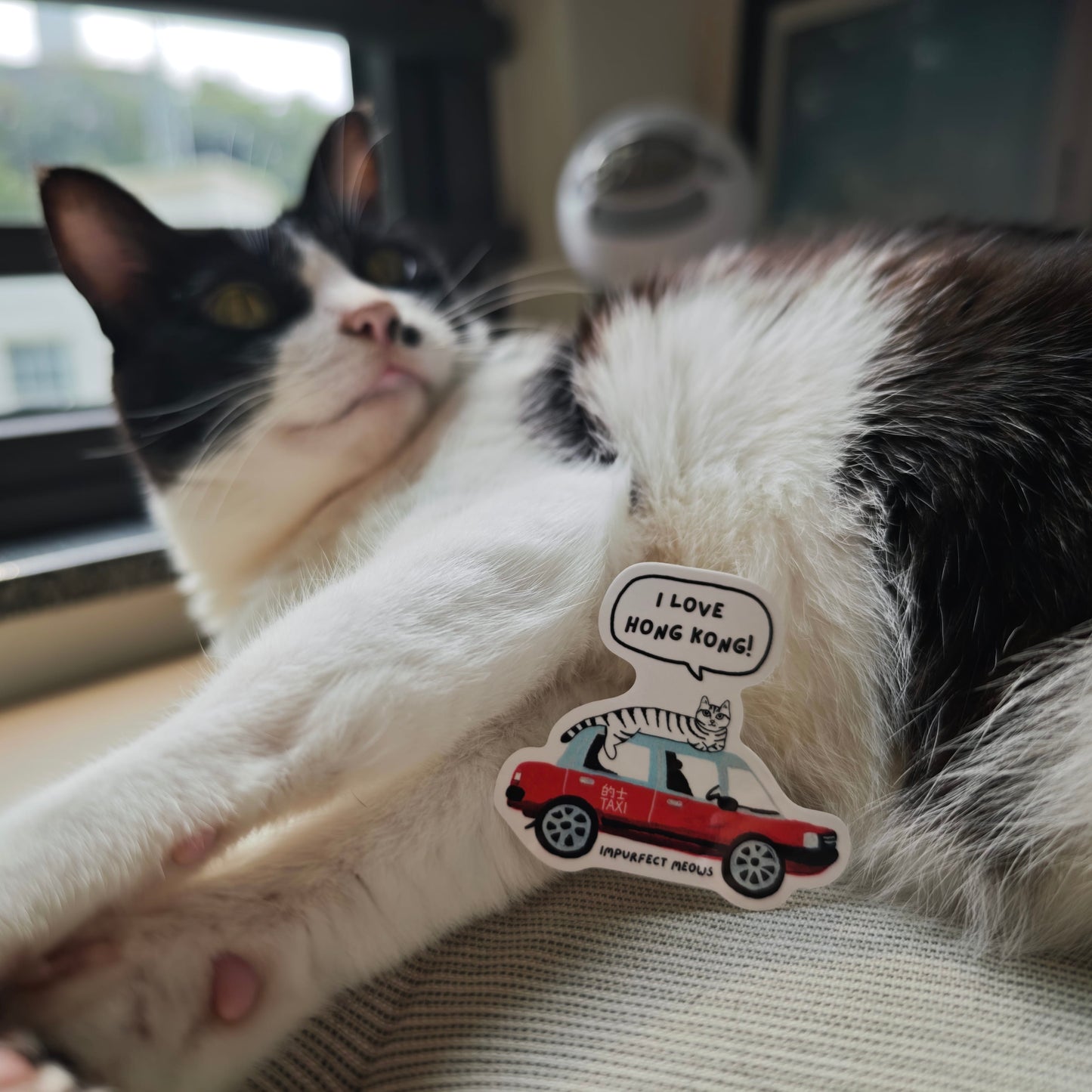 Taxi Cat Sticker