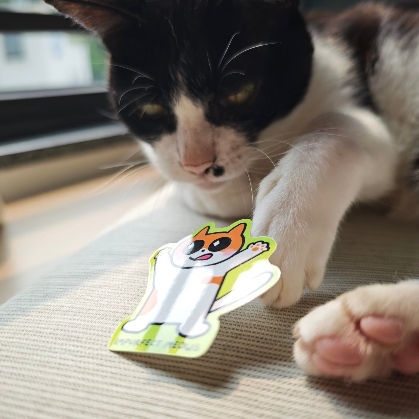I Want Fish Sticker