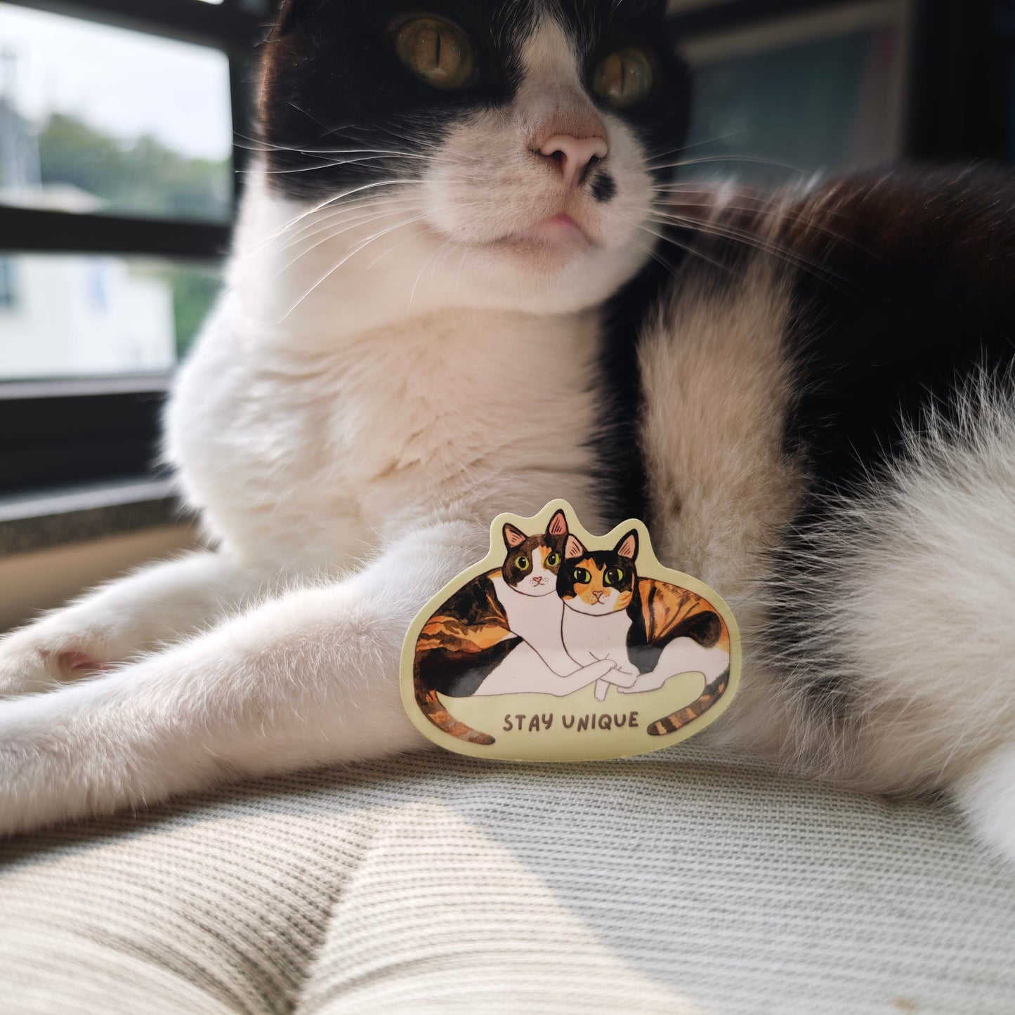 Calico Sisters Sticker