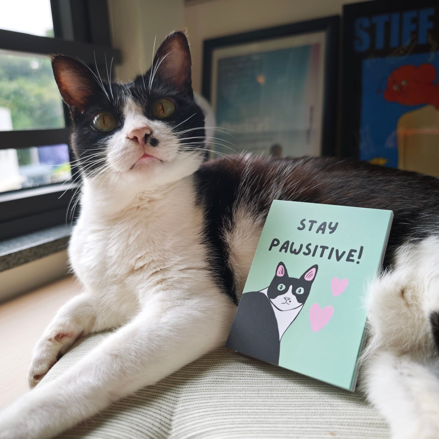 Stay Pawsitive Memo Pad