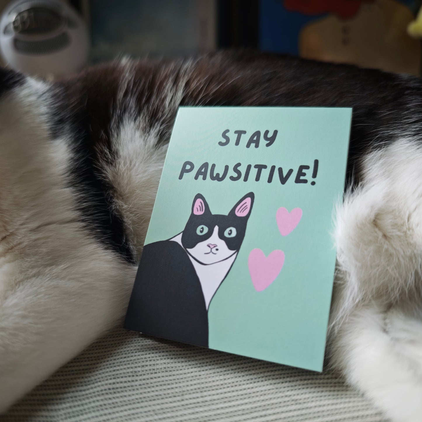 Stay Pawsitive Memo Pad